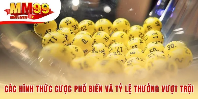 Những kèo cược phổ biến và tỷ lệ thưởng cạnh tranh