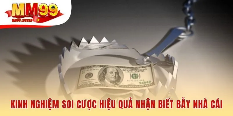 Cách soi kèo bóng đá hiệu quả giúp nhận biết bẫy nhà cái